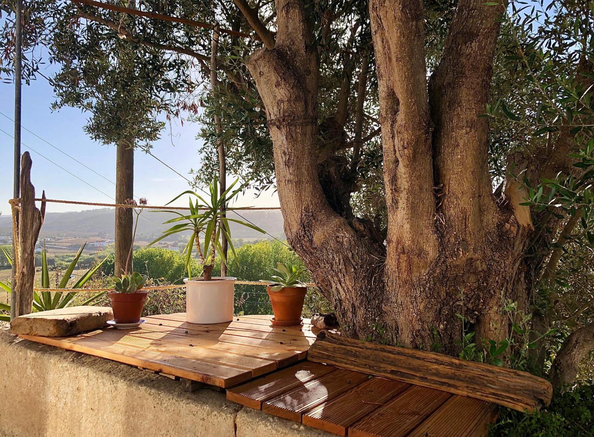 Casa Anneli - Relaxing Under The Olive Tree Villa Aljezur Exterior photo